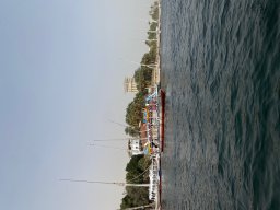 img_1699