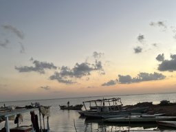img_2441