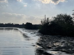 img_1638